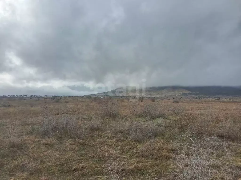 Участок в Крым, Кировский район, Абрикосовское с/пос, с. Кринички ул. ... - Фото 1