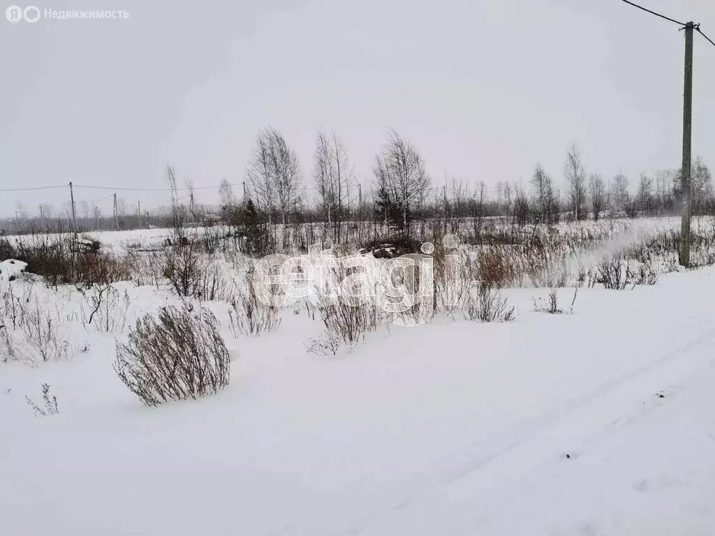 Участок в Плодопитомник, Еловая улица (6.8 м) - Фото 1