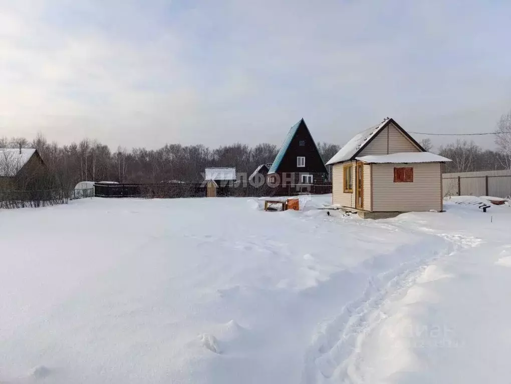 Дом в Новосибирская область, Колыванский район, Калина красная садовое ... - Фото 0