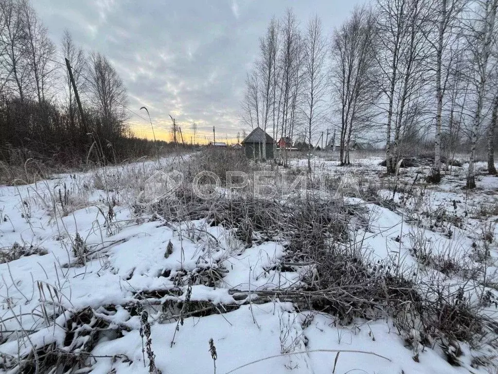 Участок в Тюменская область, Нижнетавдинский район, Сочинские СНТ  ... - Фото 1