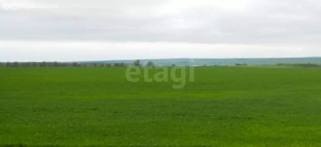 Участок в Заветное, Зелёная улица (100 м) - Фото 2