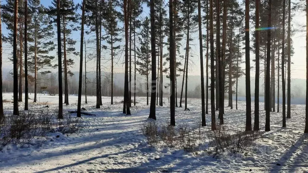 Участок в Забайкальский край, Читинский район, с. Смоленка  (7.5 сот.) - Фото 1