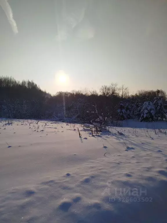 Участок в Московская область, Клин городской округ, д. Покров  (11.0 ... - Фото 2