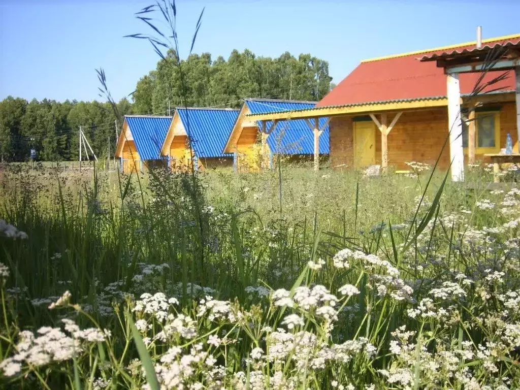 Дом в Бурятия, Кабанский район, с. Сухая Байкальская ул., 113 (75 м) - Фото 1