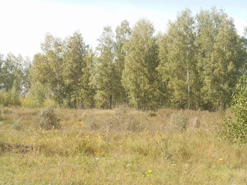 Участок в Омская область, Омский район, с. Усть-Заостровка ул. 1-я ... - Фото 0