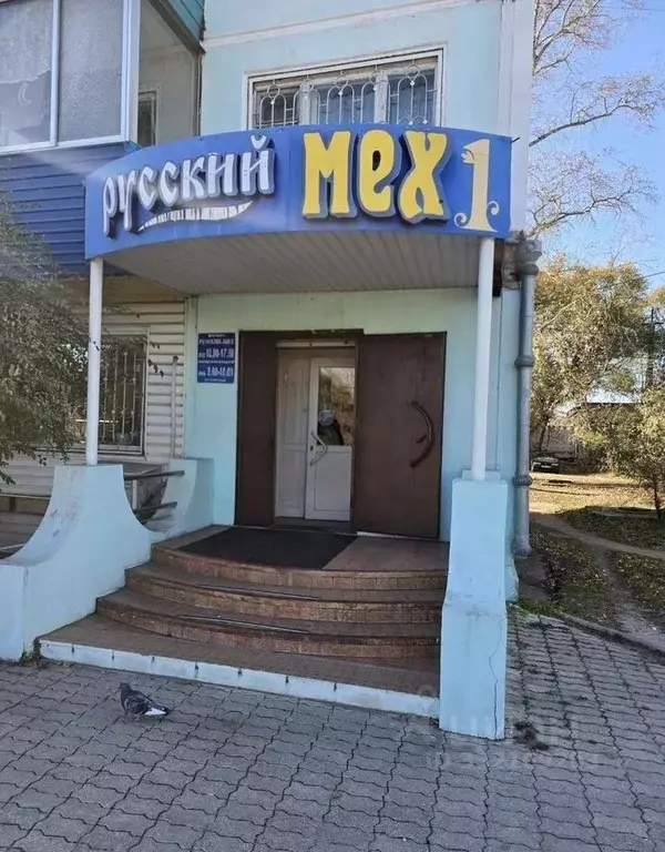 Торговая площадь в Амурская область, Белогорск ул. Скорикова, 20 (50 ... - Фото 1