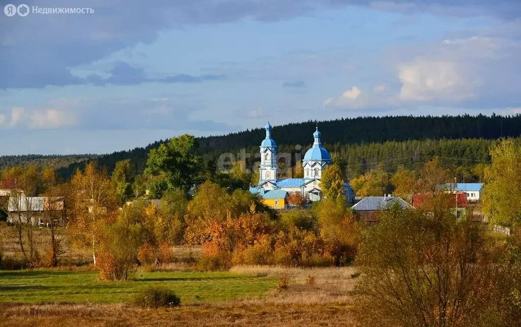 Участок в Тамбовская область, Знаменский муниципальный округ, село ... - Фото 1