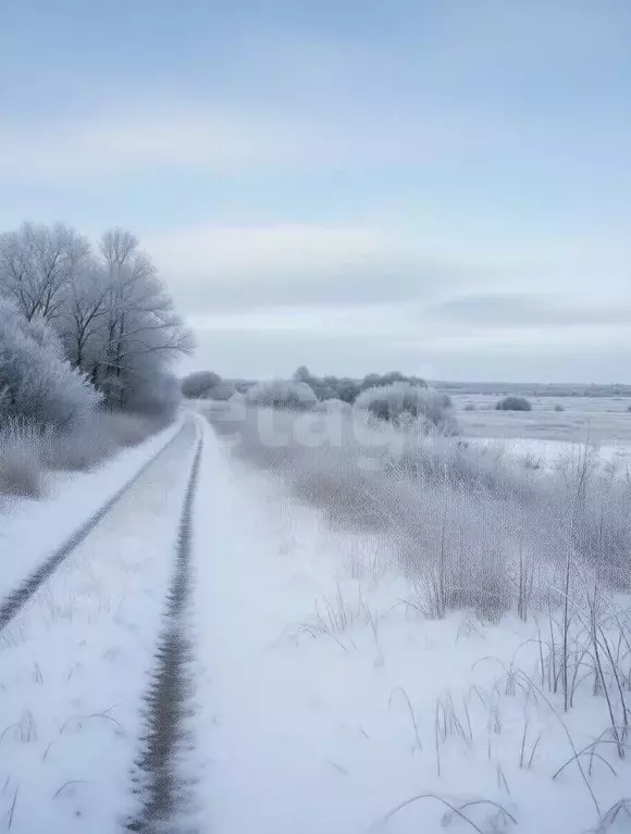 Участок в Тульская область, Дубенский район, Протасовское с/пос, с. ... - Фото 1