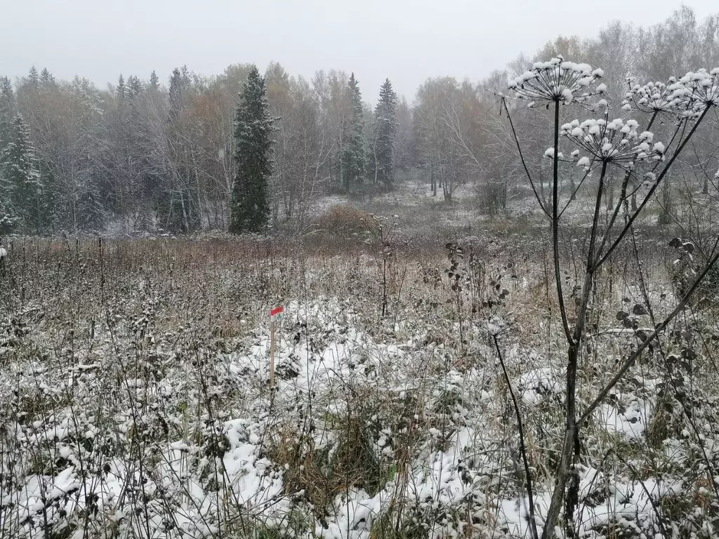 Участок в Томская область, Томский район, Богашевское с/пос, д. ... - Фото 2