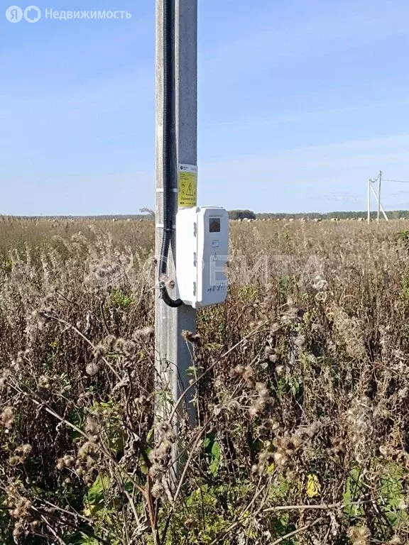 Участок в Тюменский муниципальный округ, село Горьковка (6 м) - Фото 0