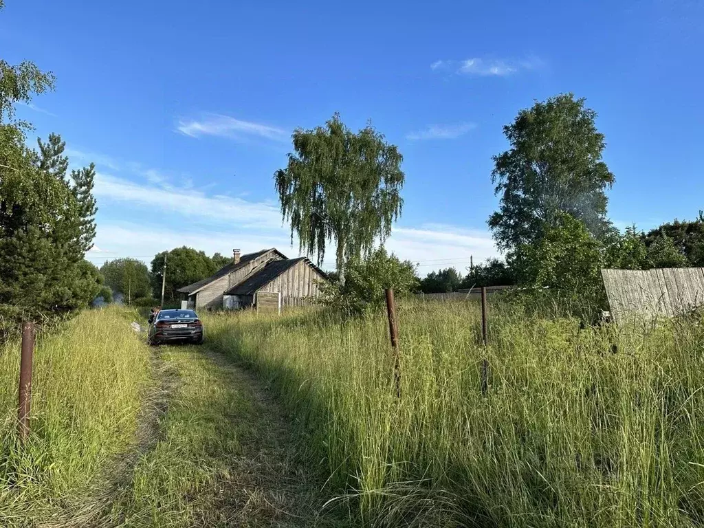 Дом в Тверская область, Зубцовский муниципальный округ, д. Буево  (50 ... - Фото 2