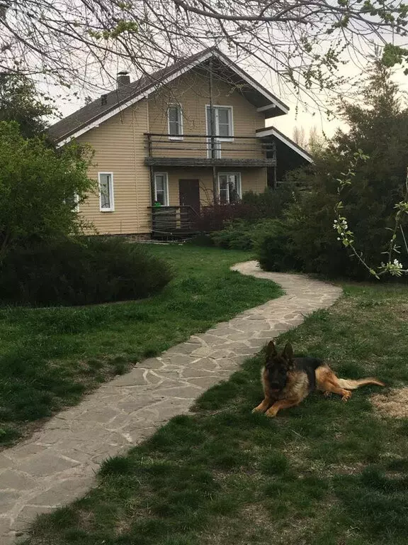 Дом в село Шабельское, улица Ленина (118.94 м) - Фото 0