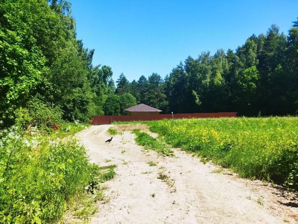 Участок в Тульская область, Ясногорский район, Иваньковское с/пос, ... - Фото 2