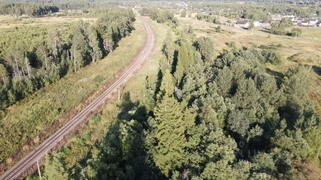 Участок в Владимирская область, Киржачский район, Горкинское ... - Фото 1