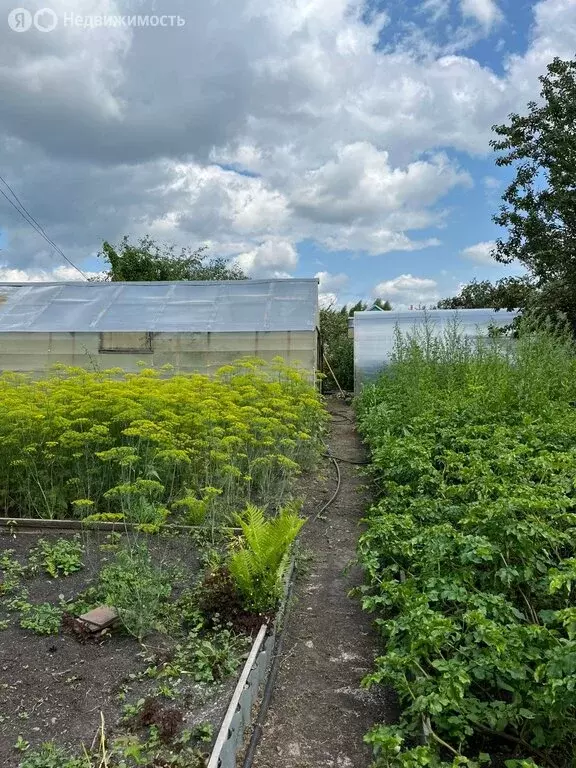 Участок в Каменск-Уральский, КСТ № 26, 45 (5 м) - Фото 1