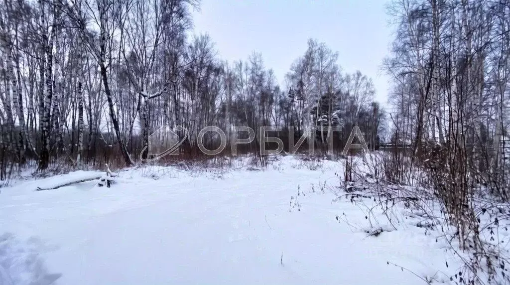 Участок в Тюменская область, Тюмень Садовое товарищество Липовый ... - Фото 1
