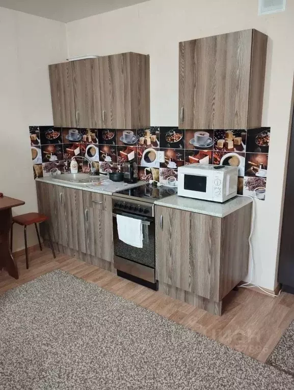 Студия Челябинская область, Челябинский городской округ, пос. ... - Фото 1