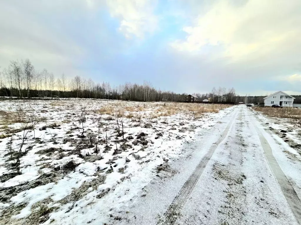 Участок в Московская область, Воскресенск городской округ, д. ... - Фото 1