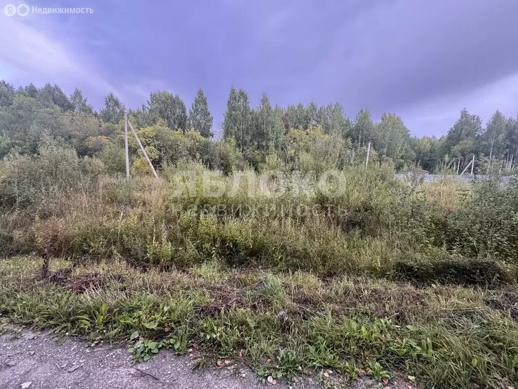 Участок в Пермский край, муниципальный округ Березники, деревня ... - Фото 0