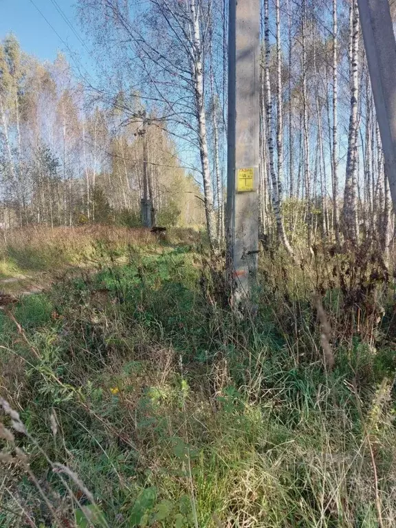 Участок в Калужская область, Калуга городской округ, д. Большая ... - Фото 2