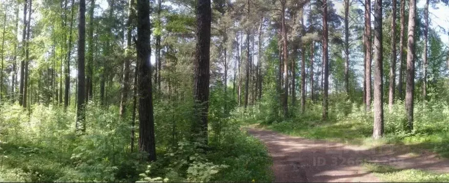 Участок в Ленинградская область, Ломоносовский район, Лебяженское ... - Фото 1