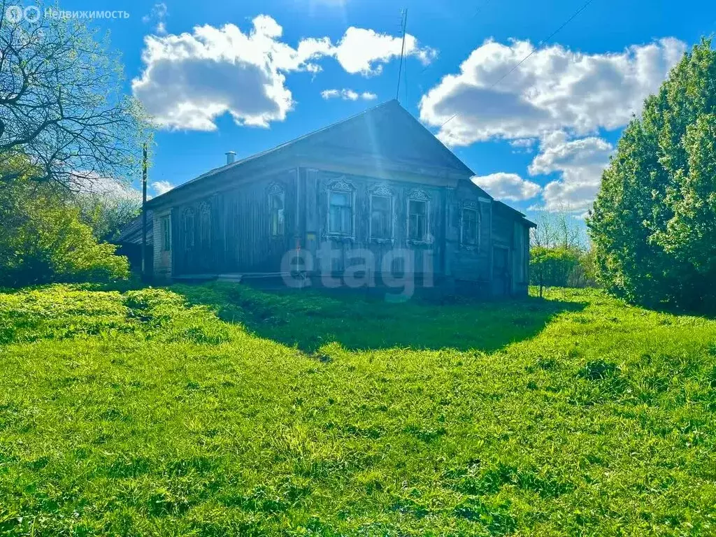 Дом в Нижегородская область, Дивеевский муниципальный округ, село ... - Фото 1