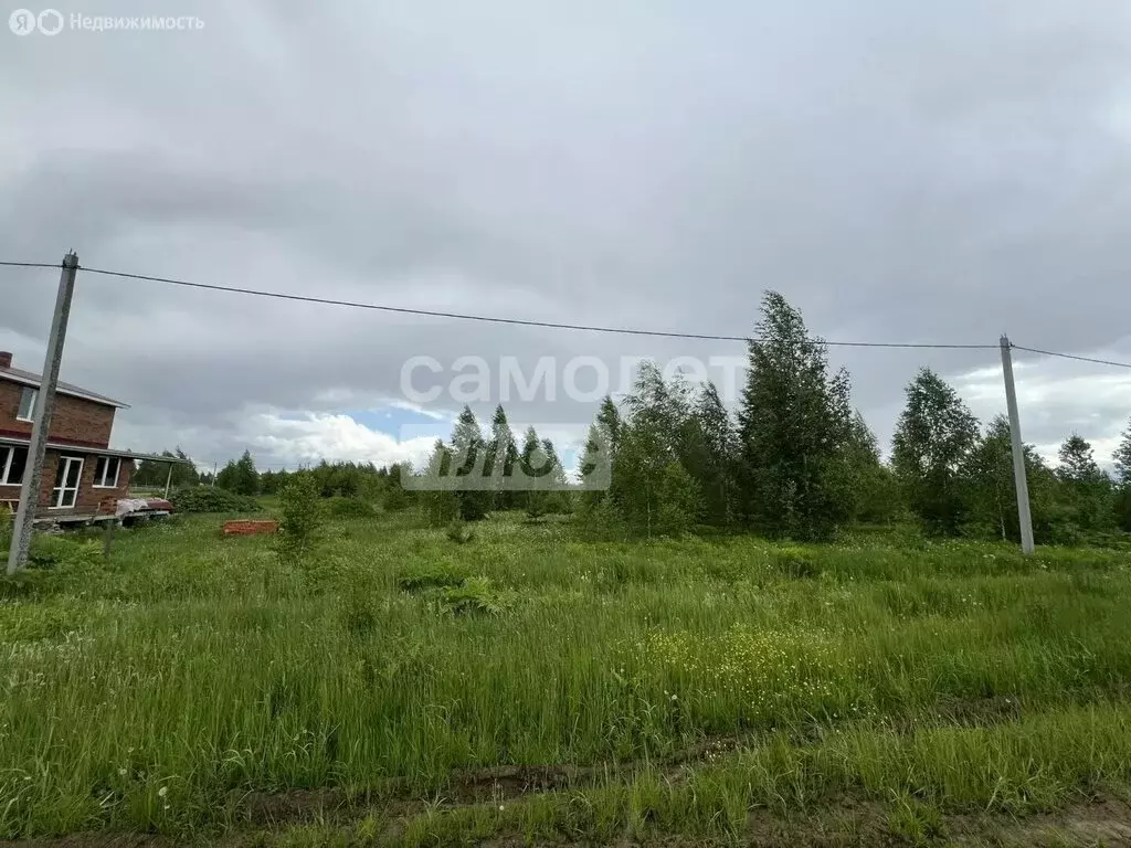 Участок в Республика Марий Эл, городской округ Йошкар-Ола, деревня ... - Фото 1