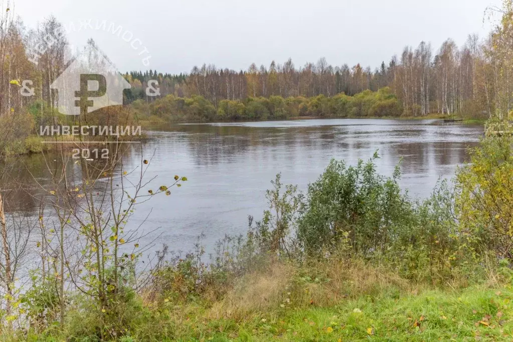 Дом в Карелия, Пряжинское городское поселение, Устье СНТ 3 (42 м) - Фото 0