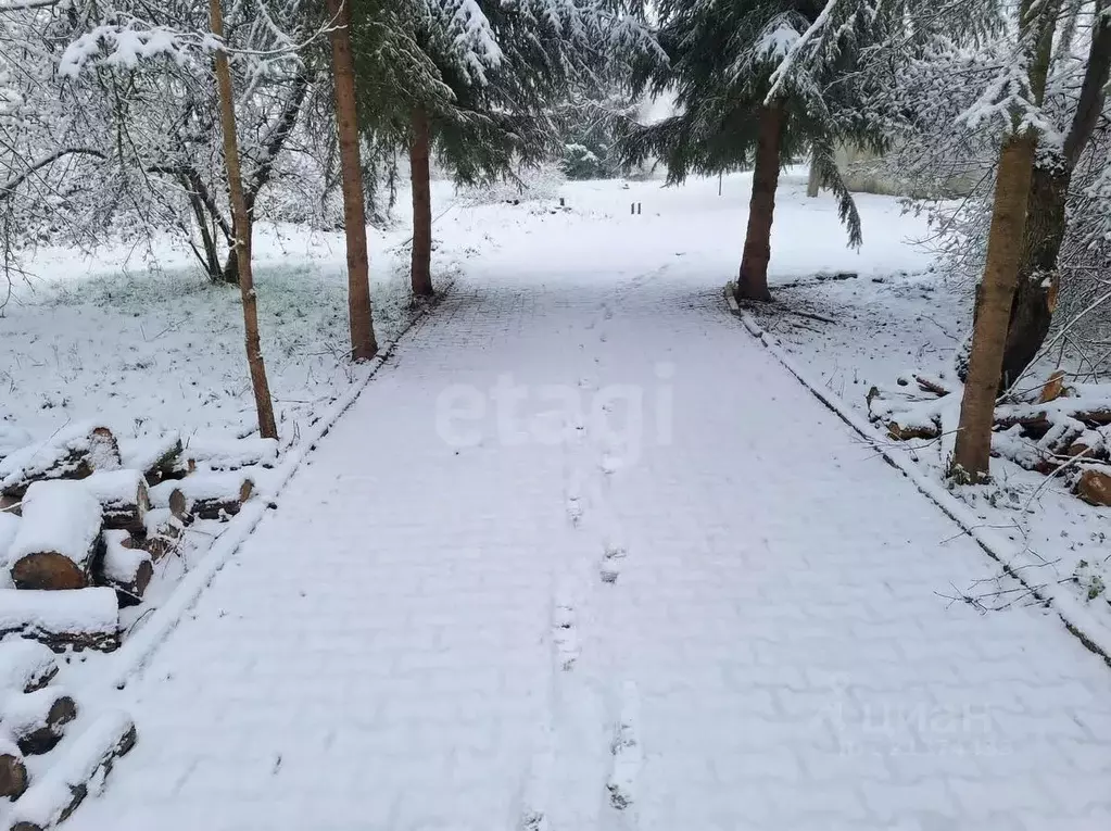 Участок в Псковская область, Островская волость, д. Городище ул. ... - Фото 2