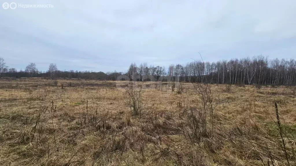 Участок в Калининградская область, Озёрский муниципальный округ, Малая ... - Фото 2
