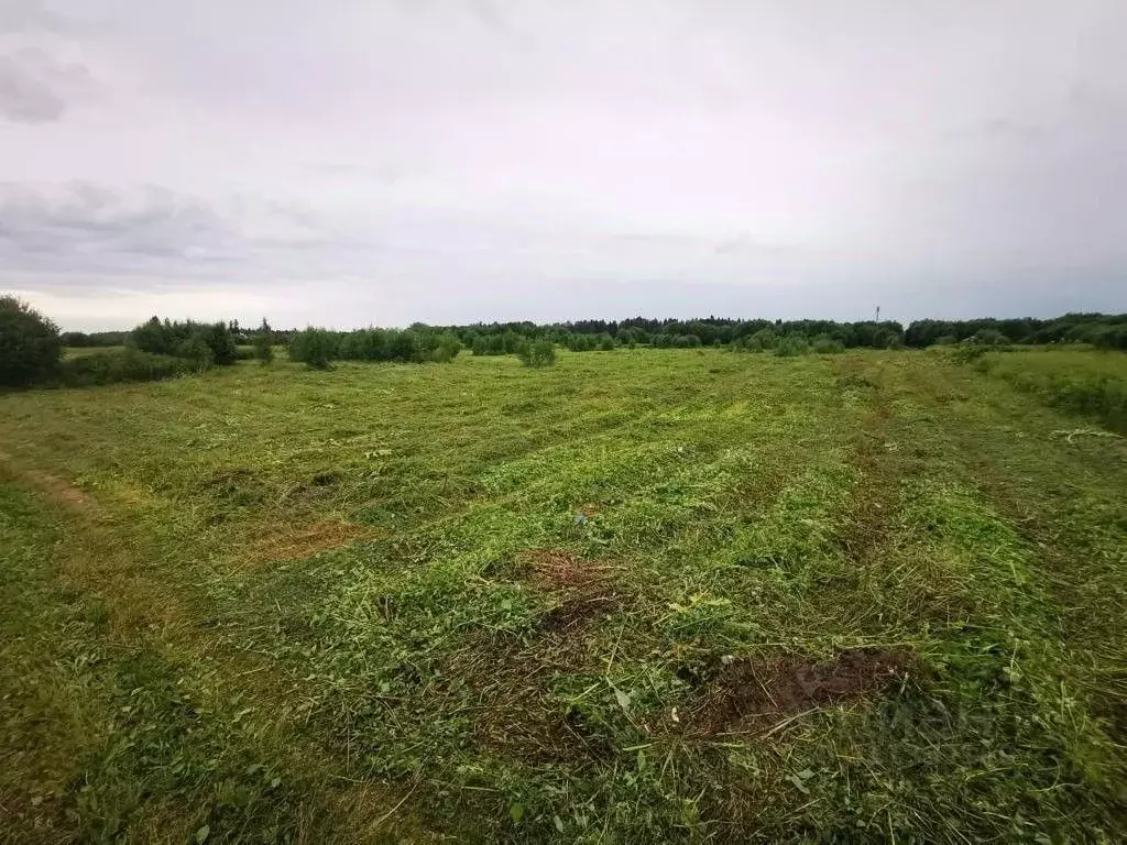 Участок в Ленинградская область, Ломоносовский район, Кипенское с/пос, ... - Фото 1