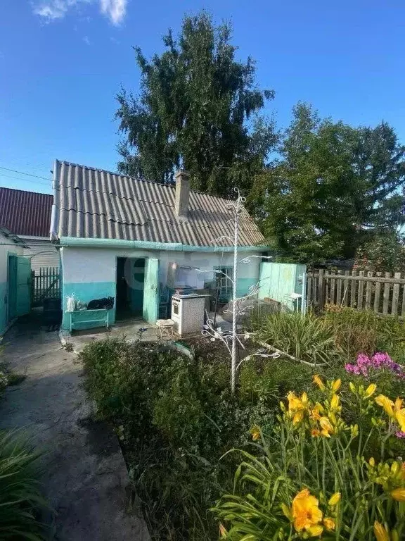 Дом в Новосибирская область, Новосибирск Ложок садовое товарищество, ... - Фото 1