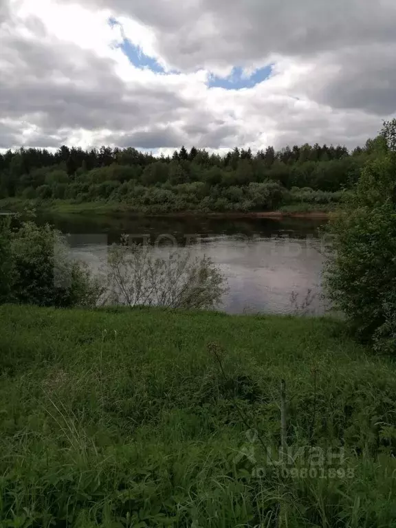 Участок в Новгородская область, Маловишерский район, Бургинское с/пос, ... - Фото 1