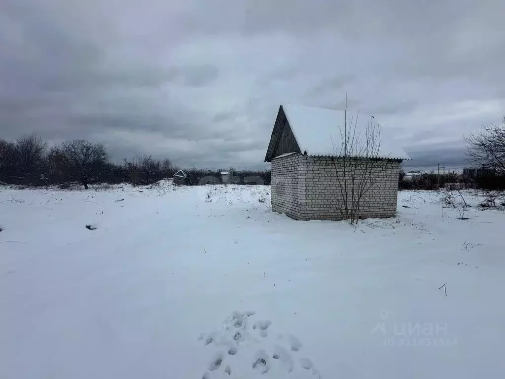 Участок в Брянская область, Брянский район, Мичуринское с/пос, ... - Фото 0