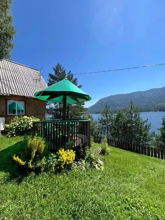 Дом в Алтай, Турочакский район, с. Артыбаш Телецкая ул., 62 (40 м) - Фото 1