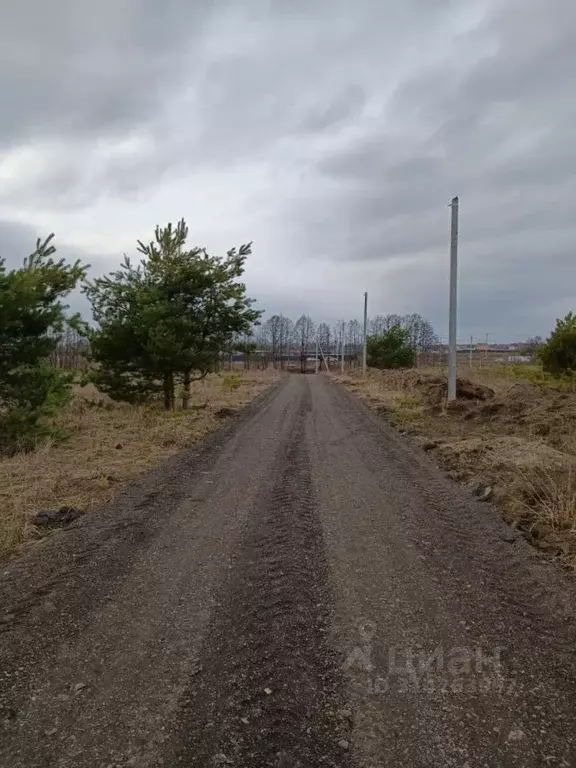 Участок в Московская область, Раменское ул. Балтийская (10.5 сот.) - Фото 1