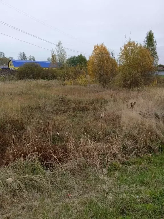 Участок в Новгородская область, Боровичский район, Прогресское с/пос, ... - Фото 1