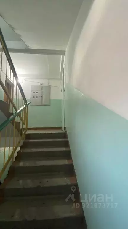 3-к кв. Алтайский край, Рубцовск Комсомольская ул., 234 (60.0 м) - Фото 2