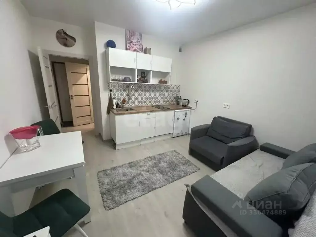 Студия Санкт-Петербург наб. Реки Каменки, 3к3 (19.0 м) - Фото 1