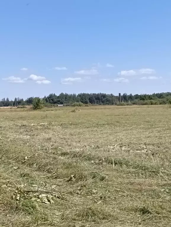 Участок в Ленинградская область, Кингисеппский район, Большелуцкое ... - Фото 1