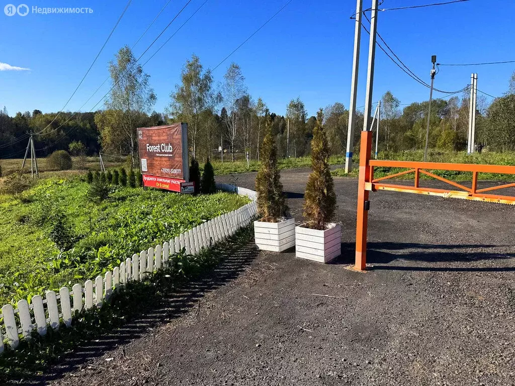 Участок в Московская область, Дмитровский муниципальный округ, КП ... - Фото 1