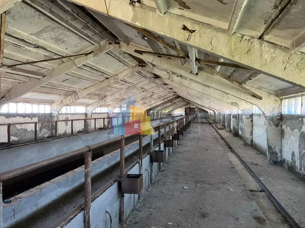 Продам помещение свободного назначения, 1800 м - Фото 1