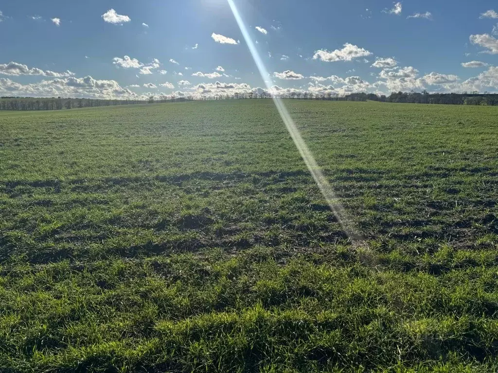 Участок в Крым, Симферопольский район, с. Урожайное  (434.0 сот.) - Фото 2