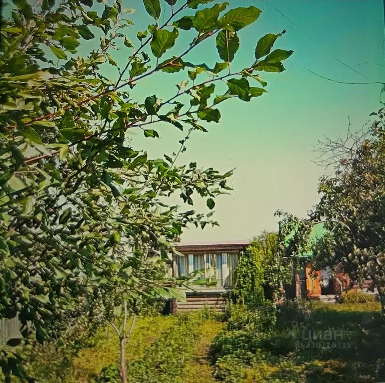 Дом в Ульяновская область, Кузоватово рп пл. Ленина (39 м) - Фото 1