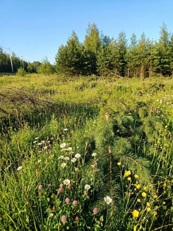 Участок в Иркутская область, Иркутский муниципальный округ, с. ... - Фото 1