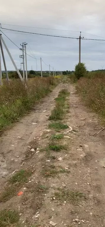 Участок в Калининградская область, Зеленоградский муниципальный округ, ... - Фото 1