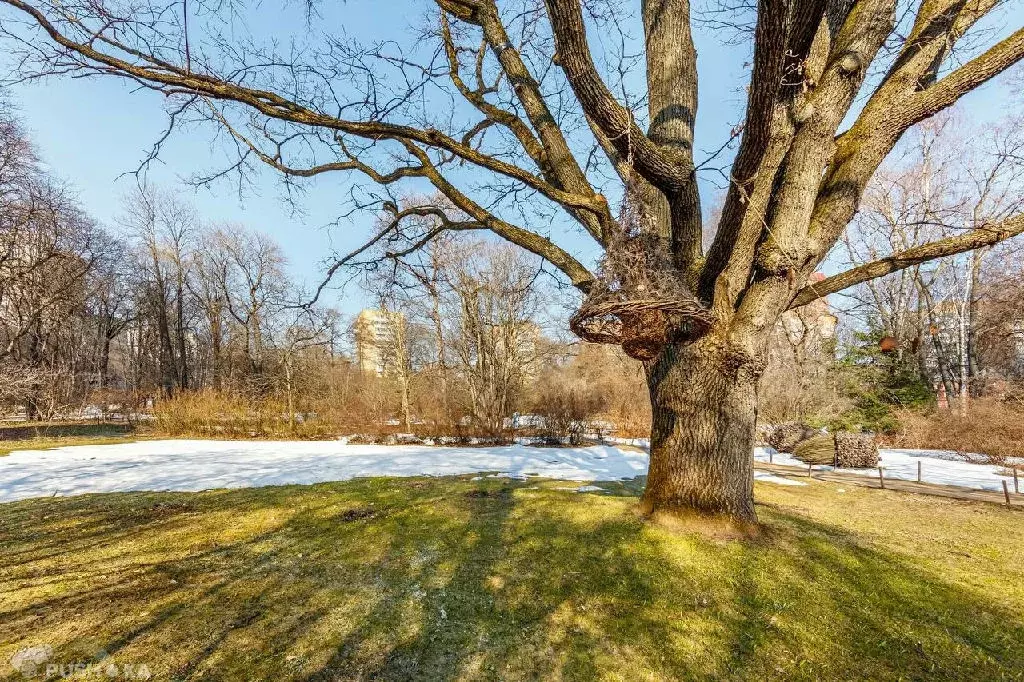 Продается 3-комнатная квартира - Фото 2