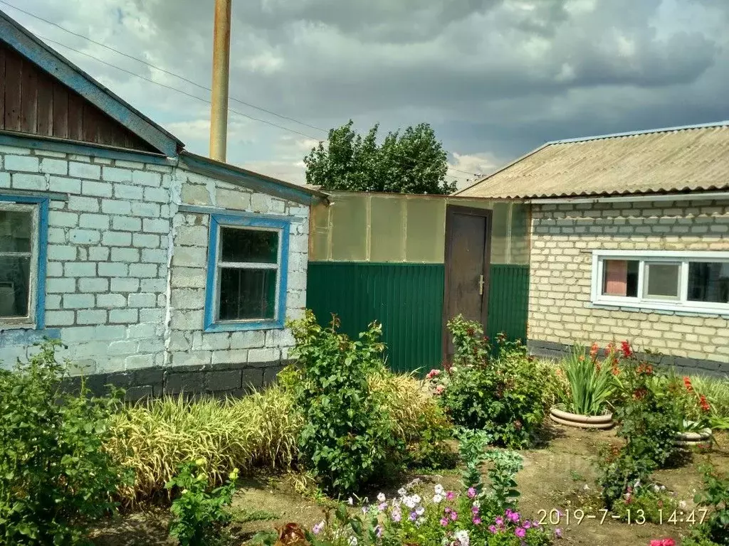 Дом в Волгоградская область, Чернышковский район, Верхнегнутовское ... - Фото 1