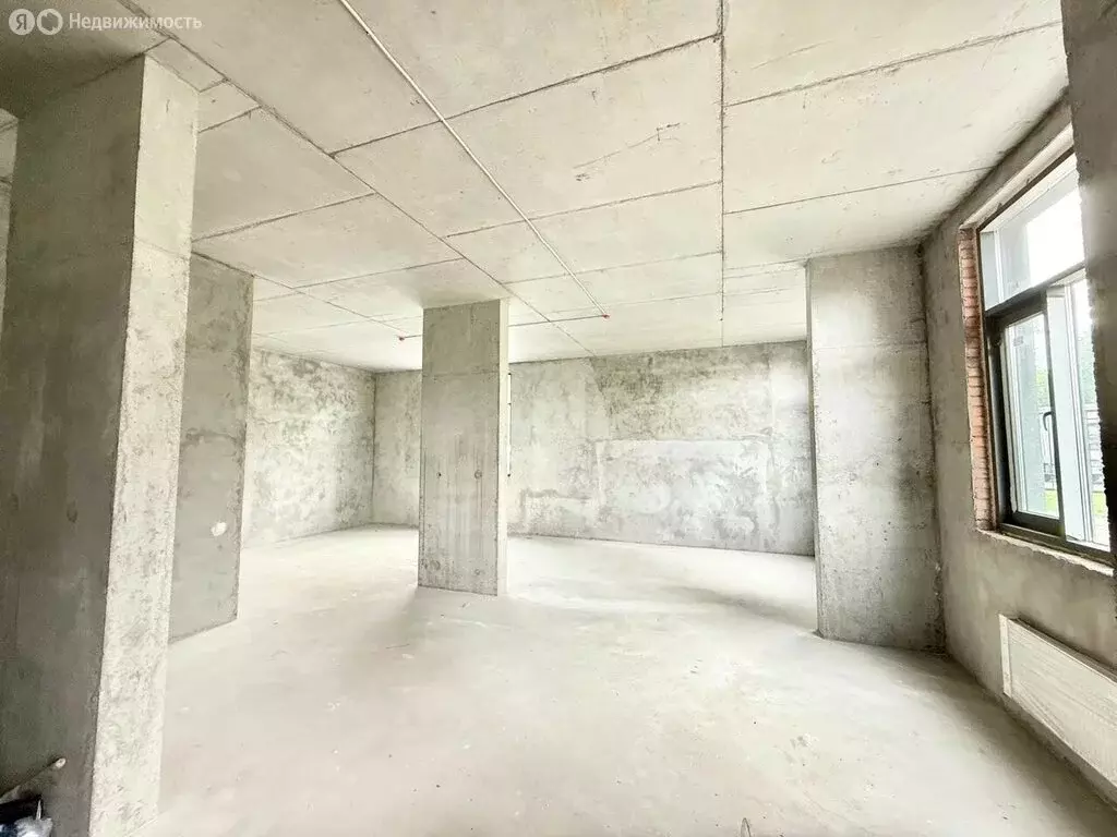 Помещение свободного назначения (90.47 м) - Фото 1