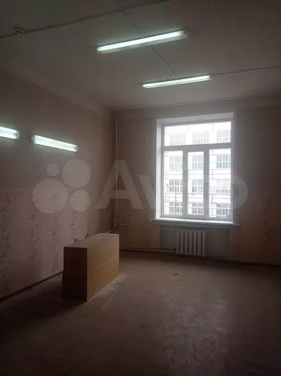 Сдам помещение свободного назначения, 24.2 м - Фото 0